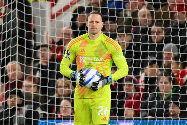 神也为兹沃 神也为兹沃