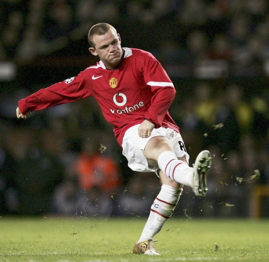 但这一声明 但这一声明